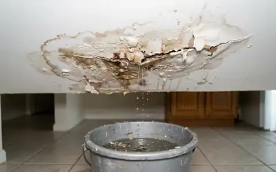 Emergency Burst Pipe Water Leak Damage in Dallas Home